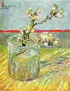 Blooming Almond Stem in a Glass, Vincent Van Gogh
